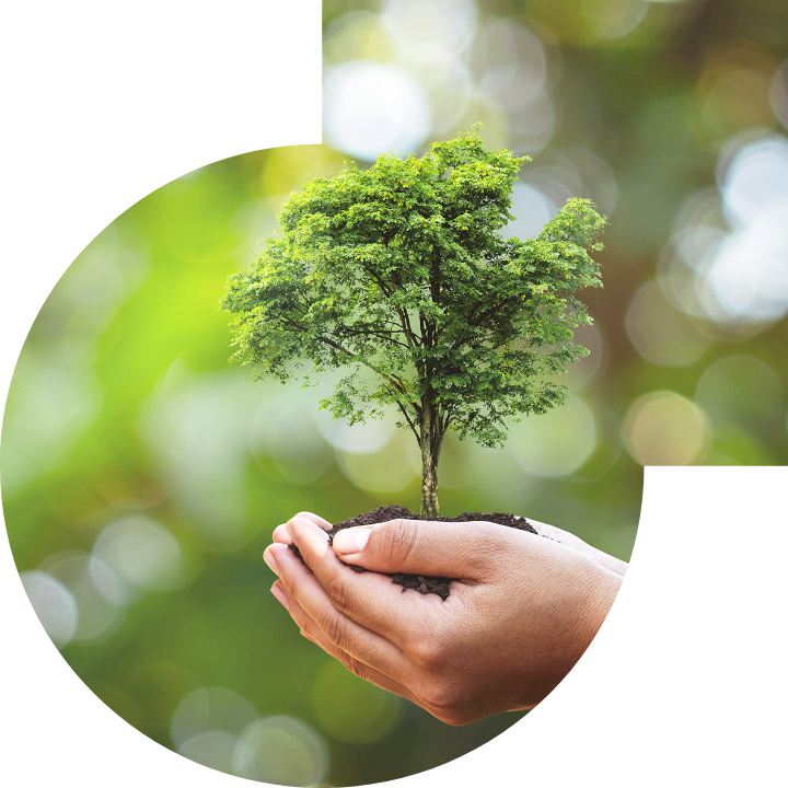 關懷人類、文化、環境與社會